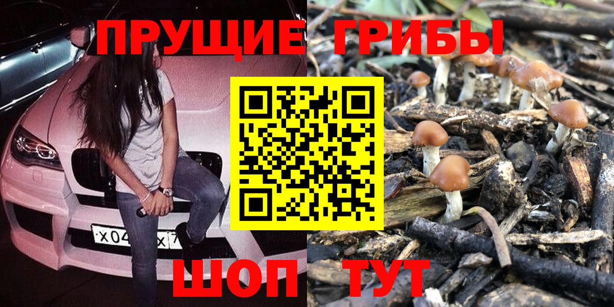 Малгобек  Псилоцибиновые грибы Magic Shrooms  Вход с VPN 