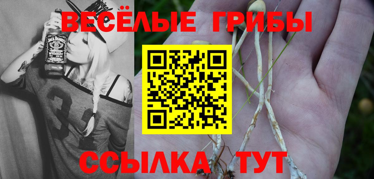 Псилоцибиновые грибы мухоморы Малгобек